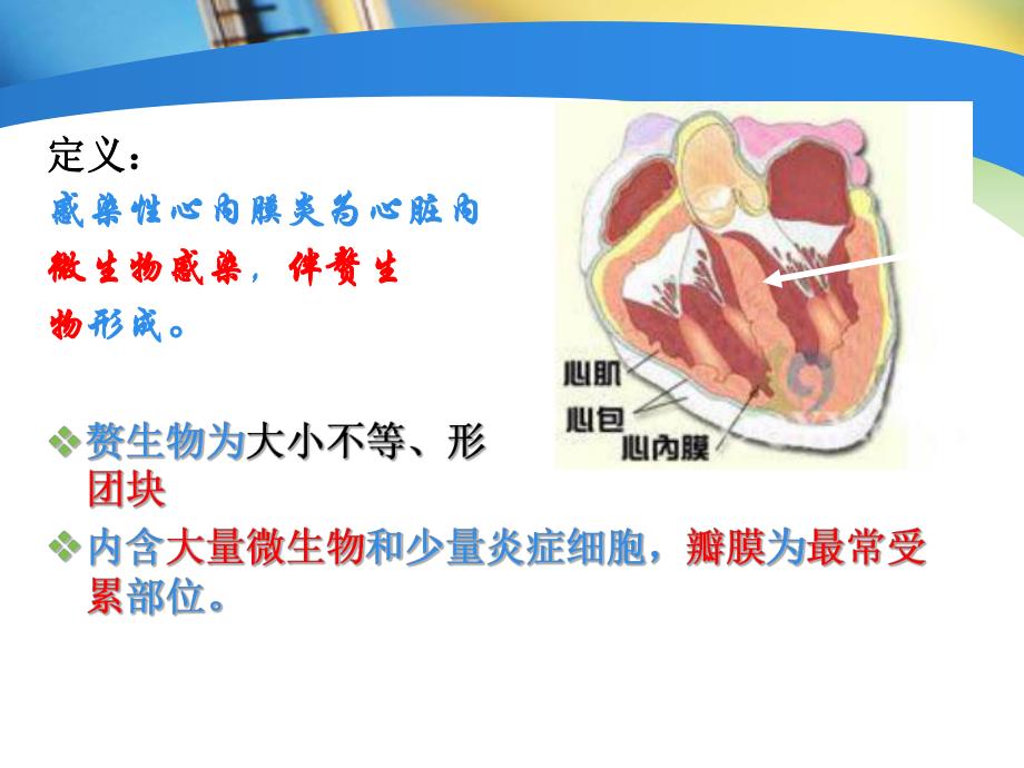 感染性心内膜炎护理PPT.ppt_第3页