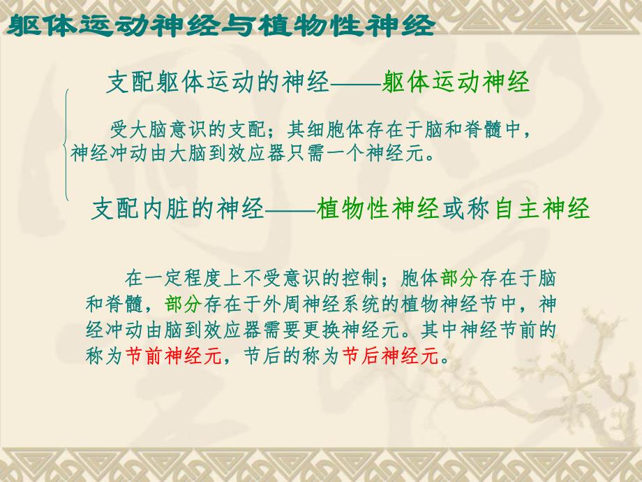 心血管活动的调节.22ppt.ppt_第3页