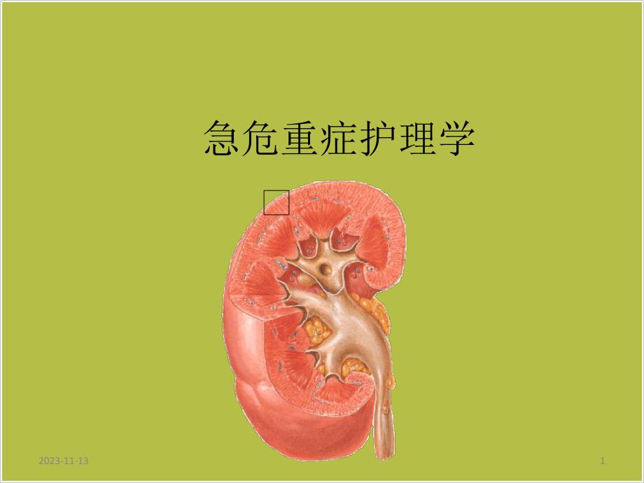 急护肾衰ppt课件.ppt_第1页