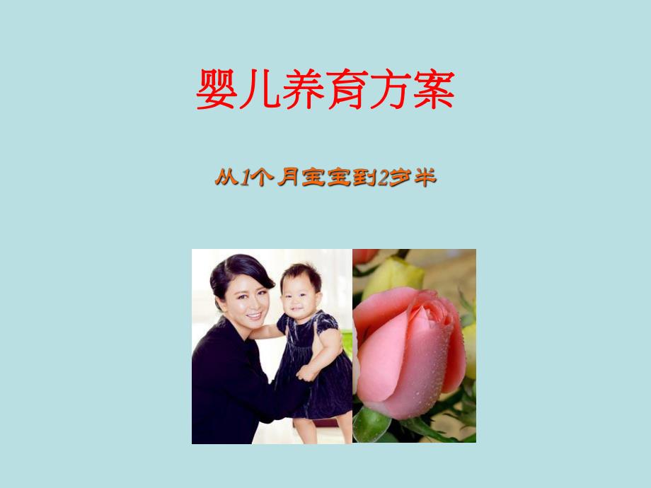 婴儿养育方案名师编辑PPT课件.ppt_第1页