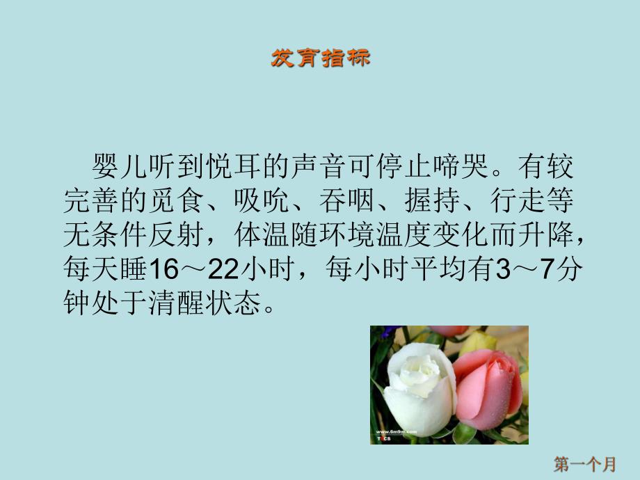 婴儿养育方案名师编辑PPT课件.ppt_第3页