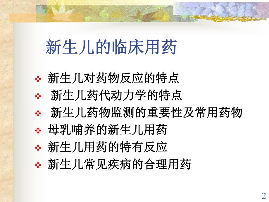 新生儿及老人用药名师编辑PPT课件.ppt_第2页