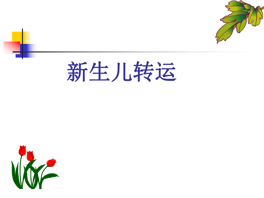 新生儿转运名师编辑PPT课件.ppt_第1页