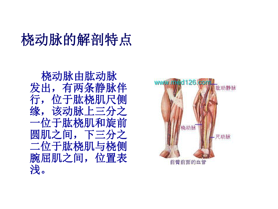 新生儿动脉穿刺技巧名师编辑PPT课件.ppt_第3页