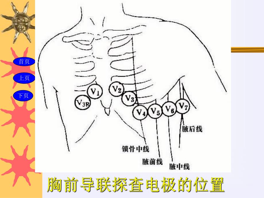 正常心电图解读.ppt_第3页