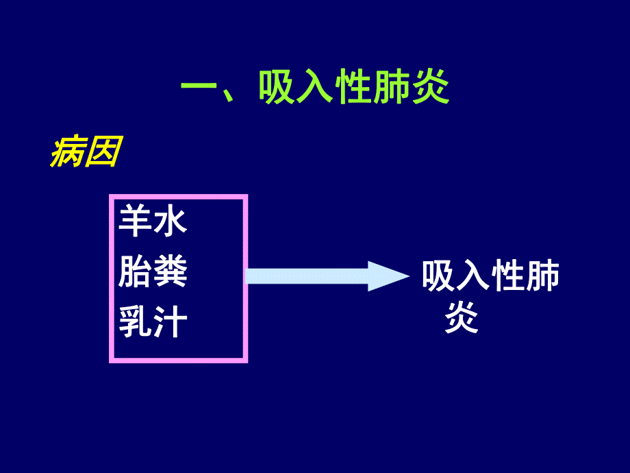 新生儿肺炎预防和治疗名师编辑PPT课件.ppt_第2页