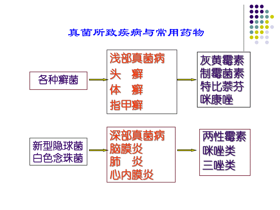 抗真菌药与抗病毒药名师编辑PPT课件.ppt_第3页