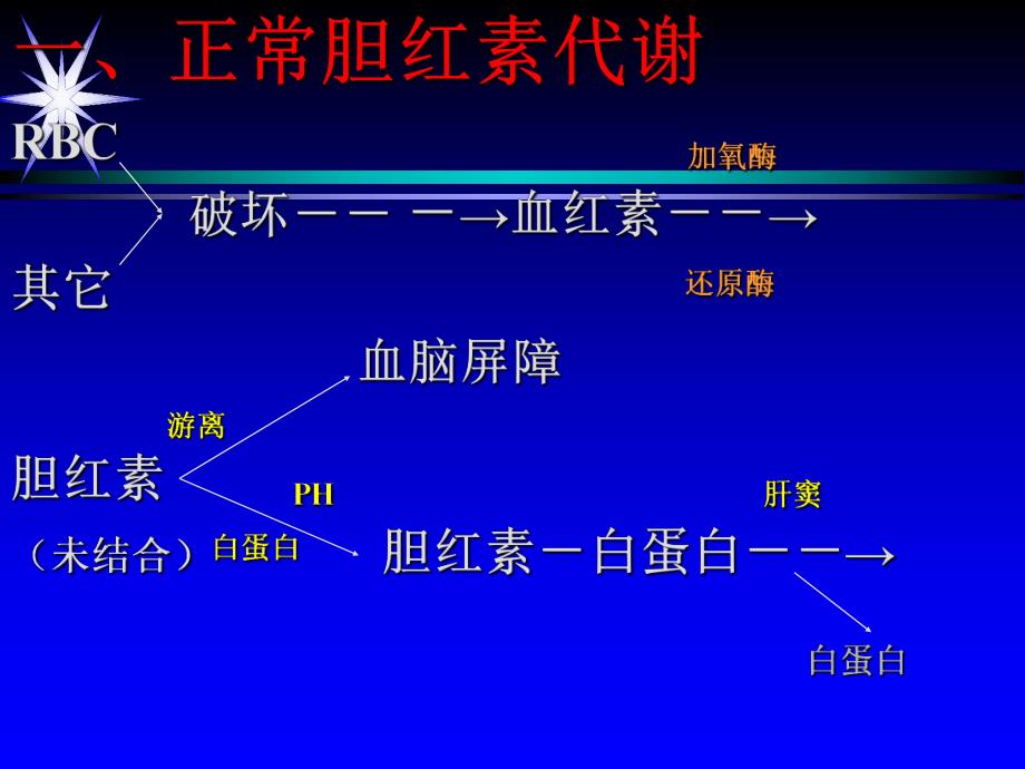 新生儿黄疸.ppt_第3页