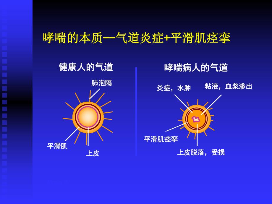 呼吸药物使用名师编辑PPT课件.ppt_第2页