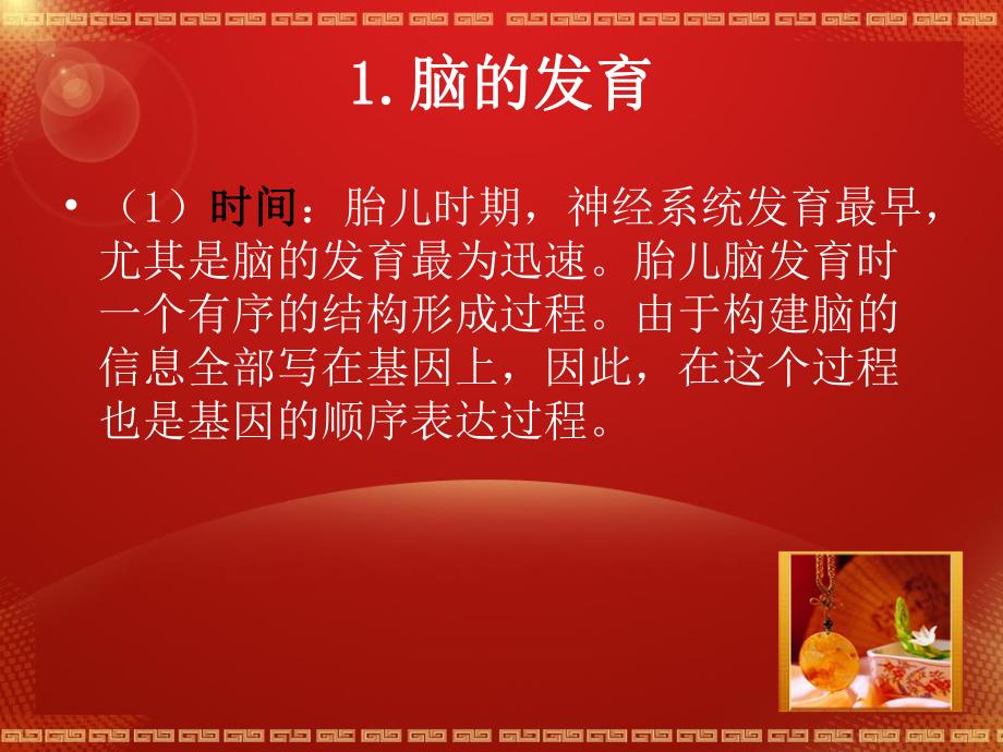 新生儿的神经系统发育名师编辑PPT课件.ppt_第2页