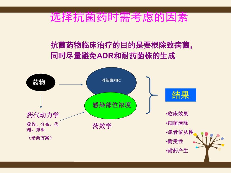 抗菌药物PKPD综合参数及临床应用的实际意义.ppt_第3页