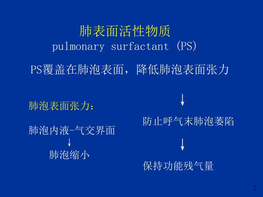 新生儿呼吸窘迫综合征名师编辑PPT课件.ppt_第2页