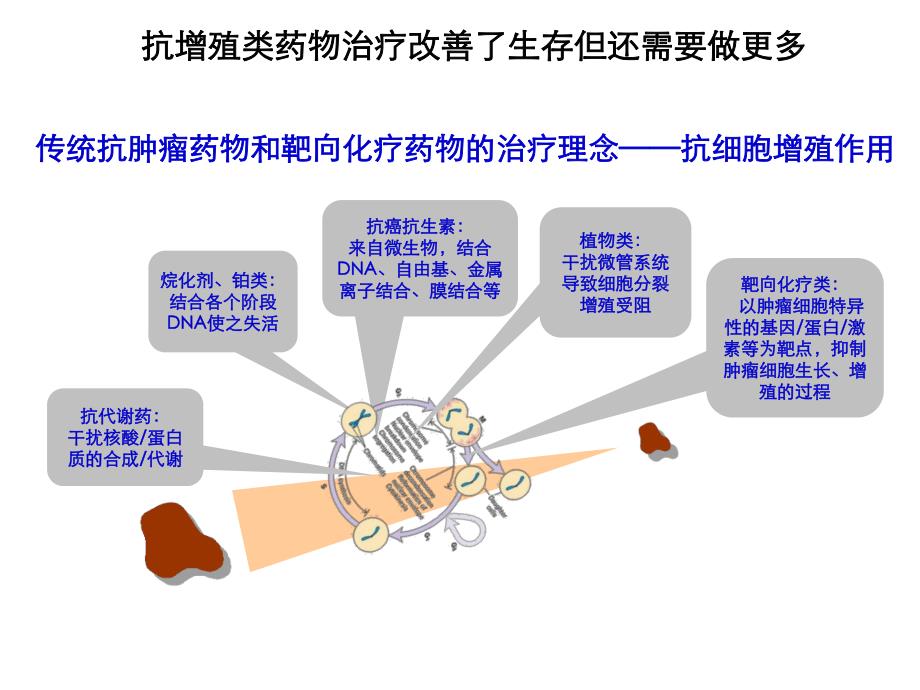 抗血管生成对于肿瘤治疗的重要意义.ppt_第3页