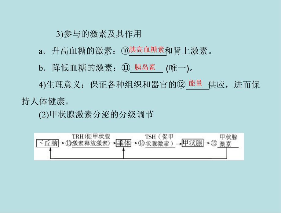 第23节通过激素的调节神经调节与体液调节的关系一名师编辑PPT课件.ppt_第3页