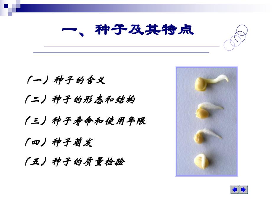 第2章播种繁殖与培育.ppt_第3页