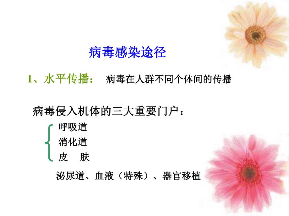 第2627章病毒的感染免疫诊断.ppt_第3页