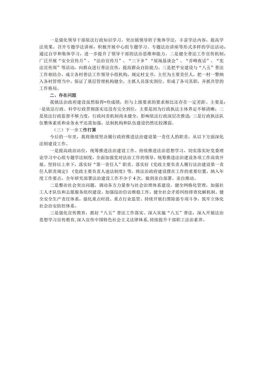 履行推进法治政府建设第一责任人职责的述职报告.docx_第2页