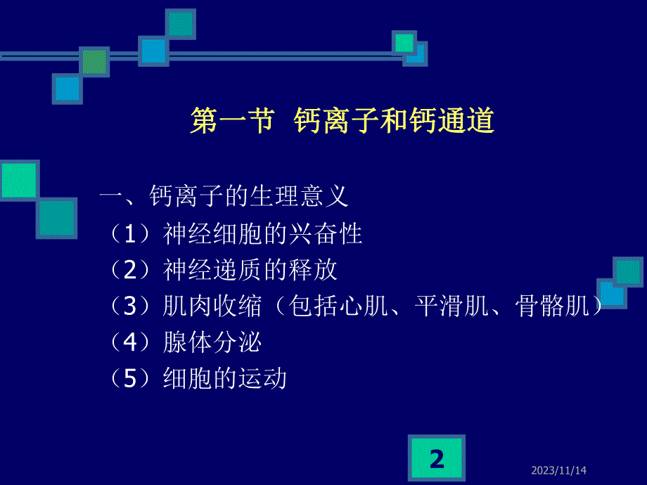 第21章钙拮抗药.ppt_第2页