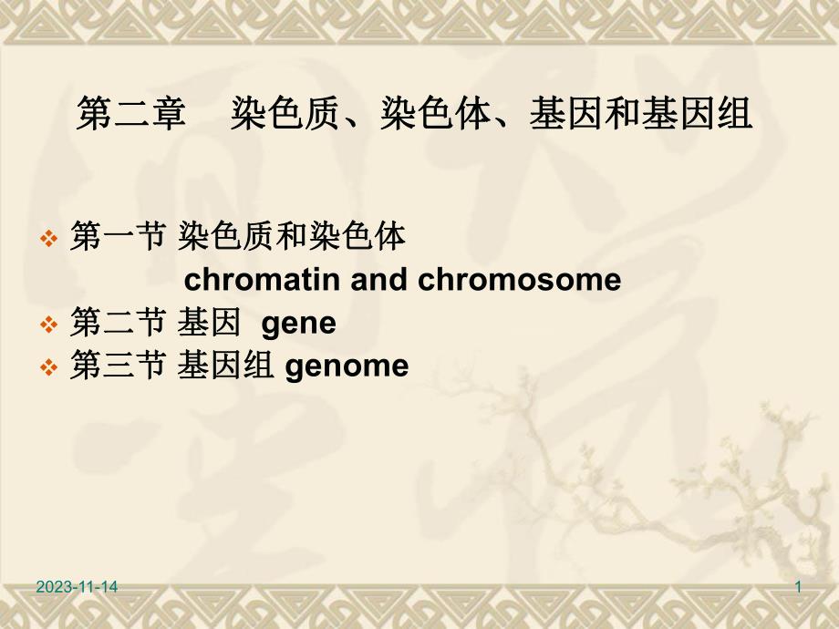 第2章染色体和基因组.ppt_第1页