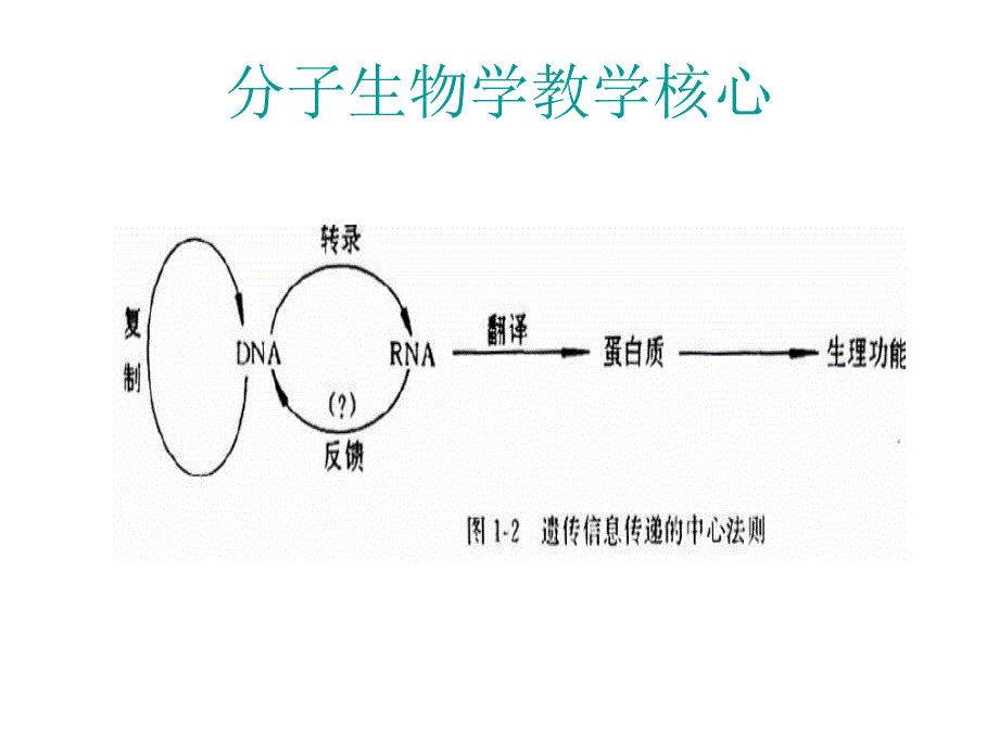 第1讲绪论.ppt_第3页