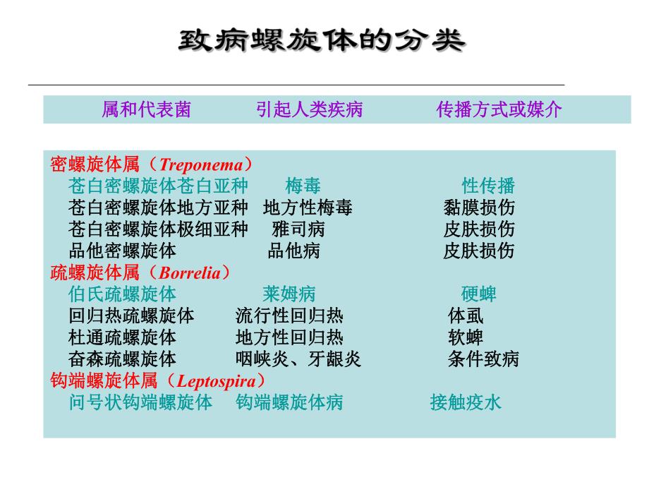 第22章螺旋体.ppt_第3页