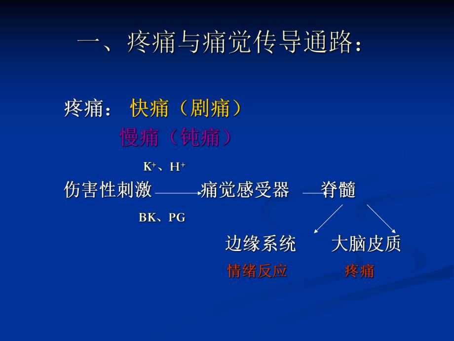 第20章阿片受体激动药.ppt_第3页