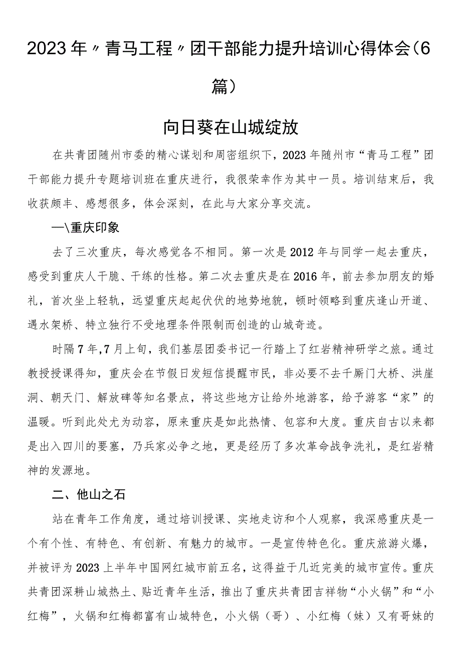 2023年“青马工程”团干部能力提升培训心得体会（6篇）.docx_第1页