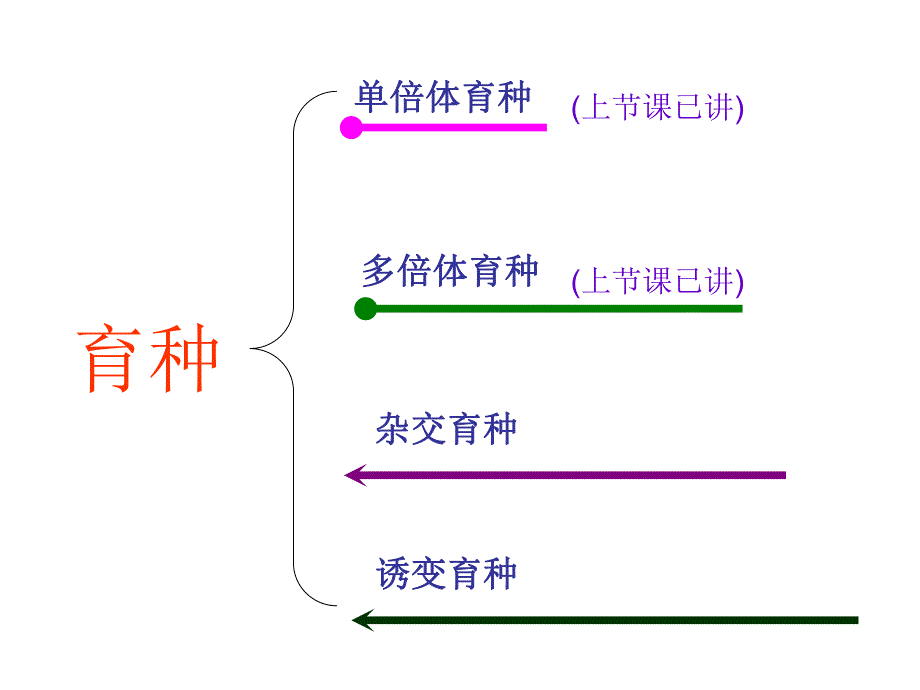 第1节诱变育种与杂交育种.ppt_第2页