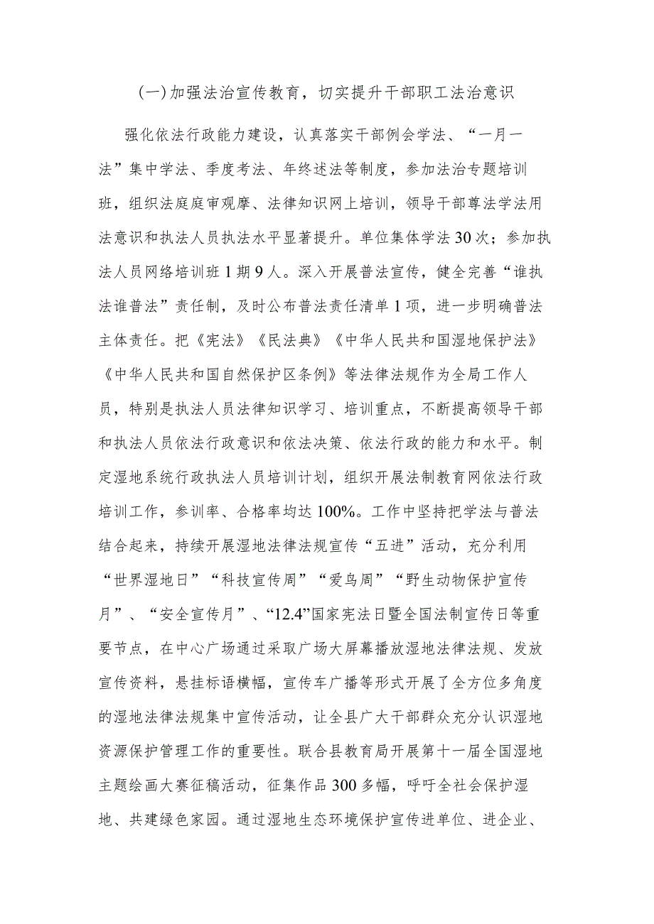 2023局党政负责人履行推进法治建设第一责任人职责情况的报告范文.docx_第2页