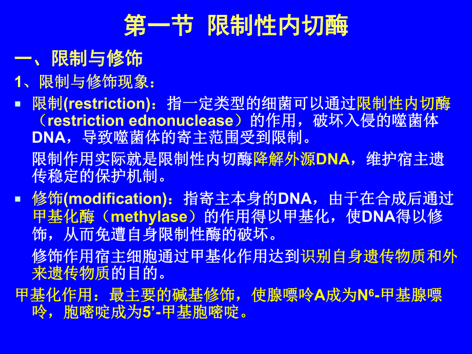 第2章分子克隆工具酶.ppt_第3页