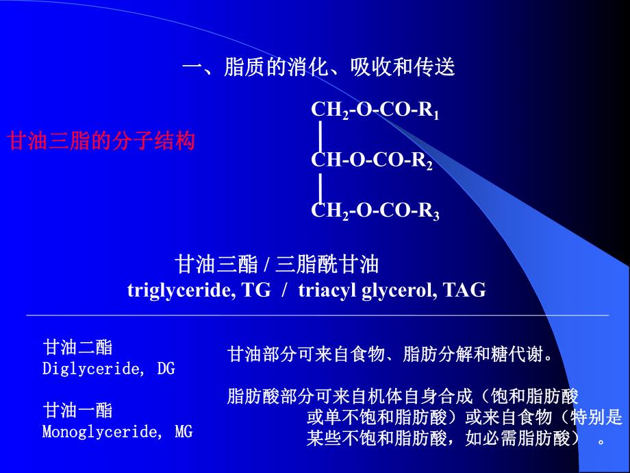 第28章脂肪酸的分解代谢.ppt_第3页