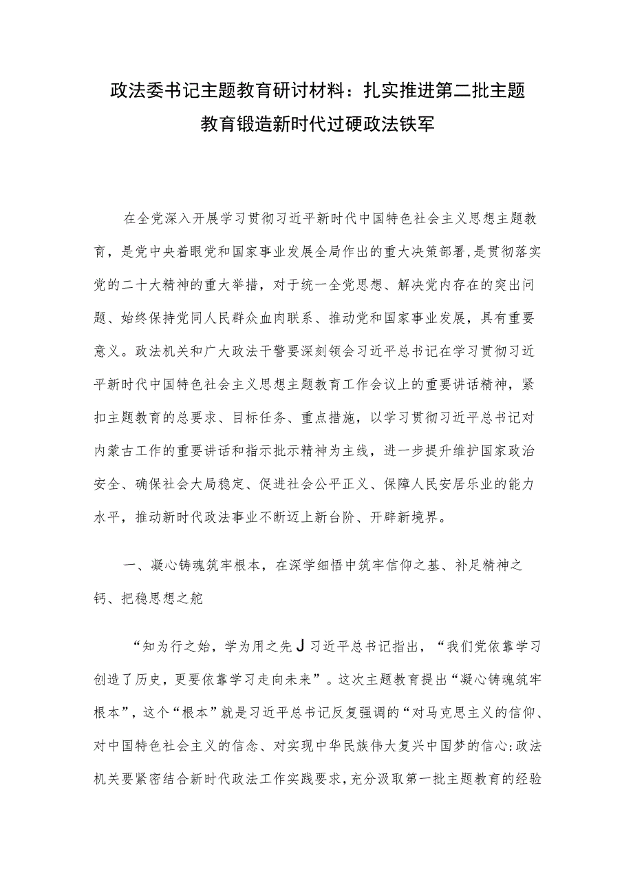 政法委书记主题教育研讨材料：扎实推进第二批主题教育 锻造新时代过硬政法铁军.docx_第1页