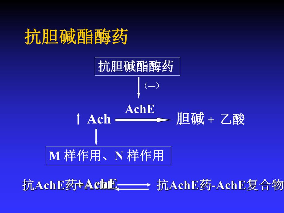 第2章2传出神经系统药物.ppt_第1页