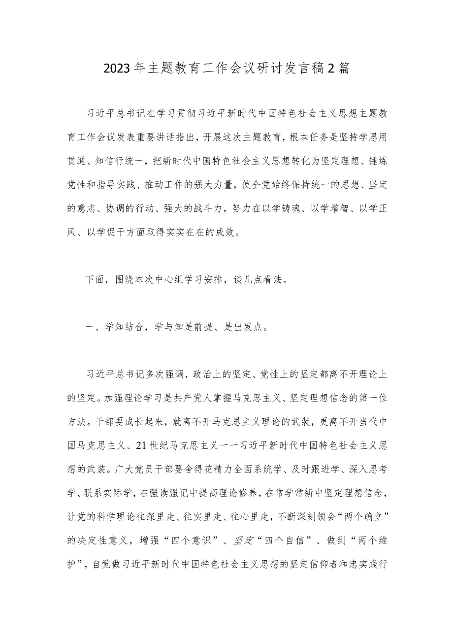 2023年主题教育工作会议研讨发言稿2篇.docx_第1页