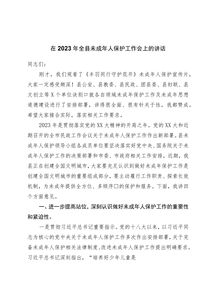 在2023年全县未成年人保护工作会上的讲话.docx_第1页