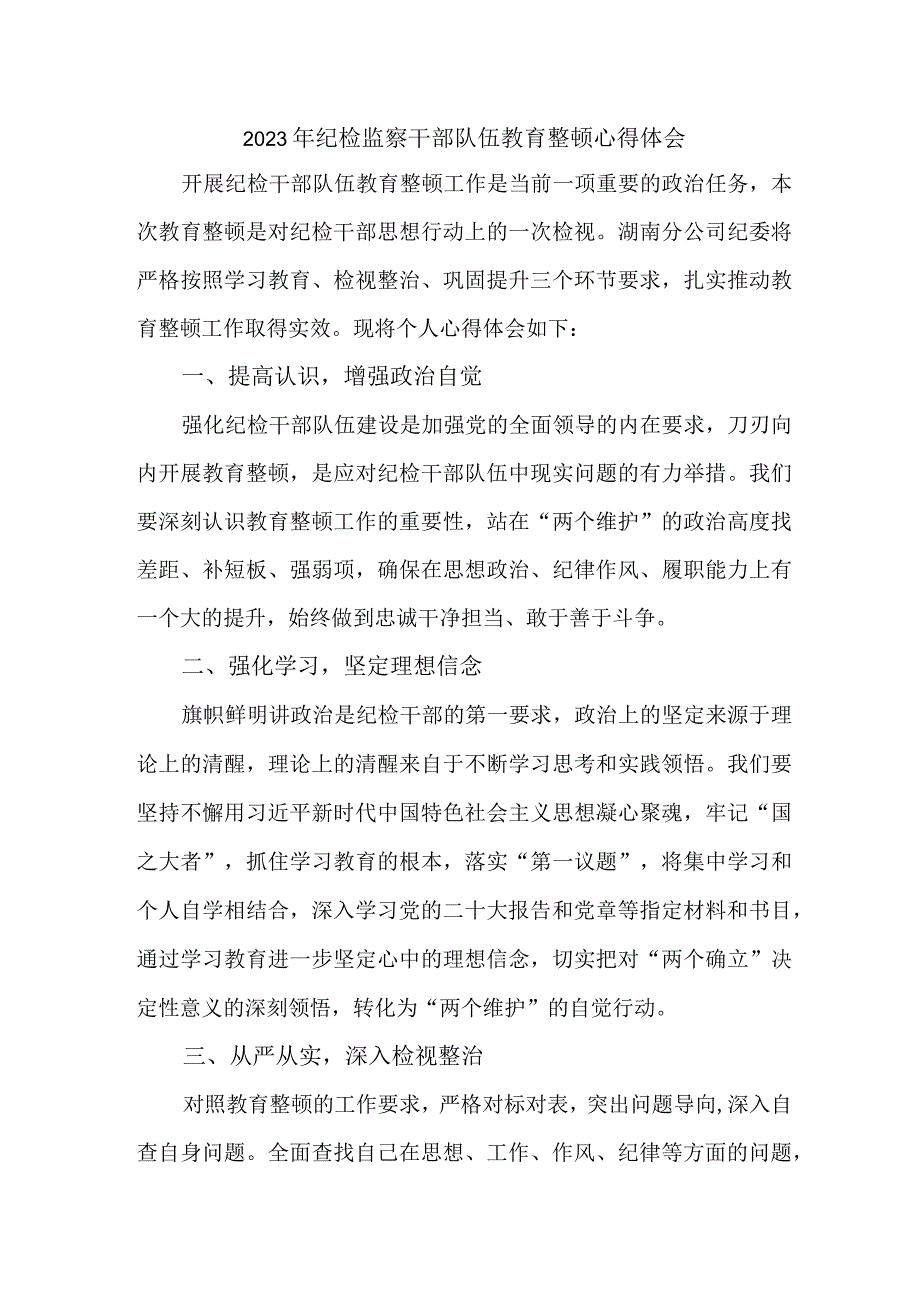 民营企业纪委2023年纪检监察干部队伍教育整顿心得体会 （10份）.docx_第1页