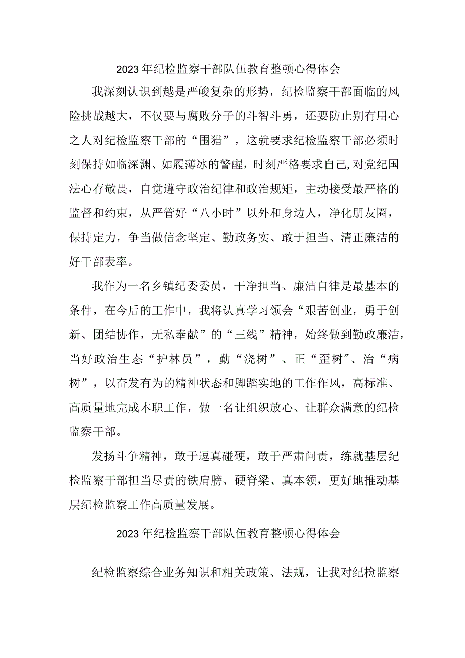 新版全市2023年纪检监察干部队伍教育整顿个人心得体会 汇编10份.docx_第1页