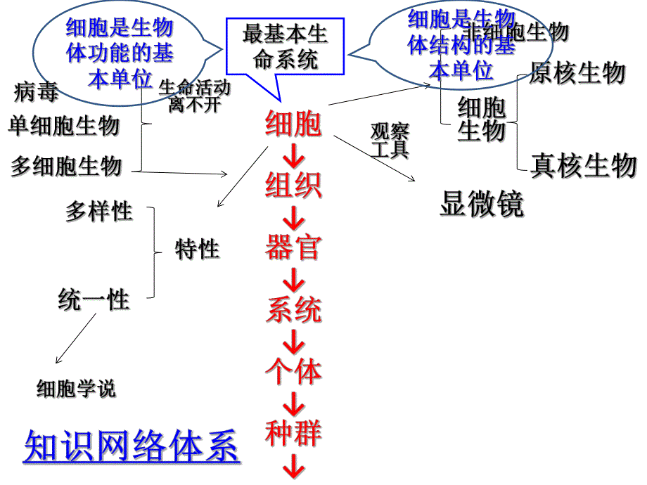 第一讲走近细胞教学课件名师编辑PPT课件.ppt_第3页