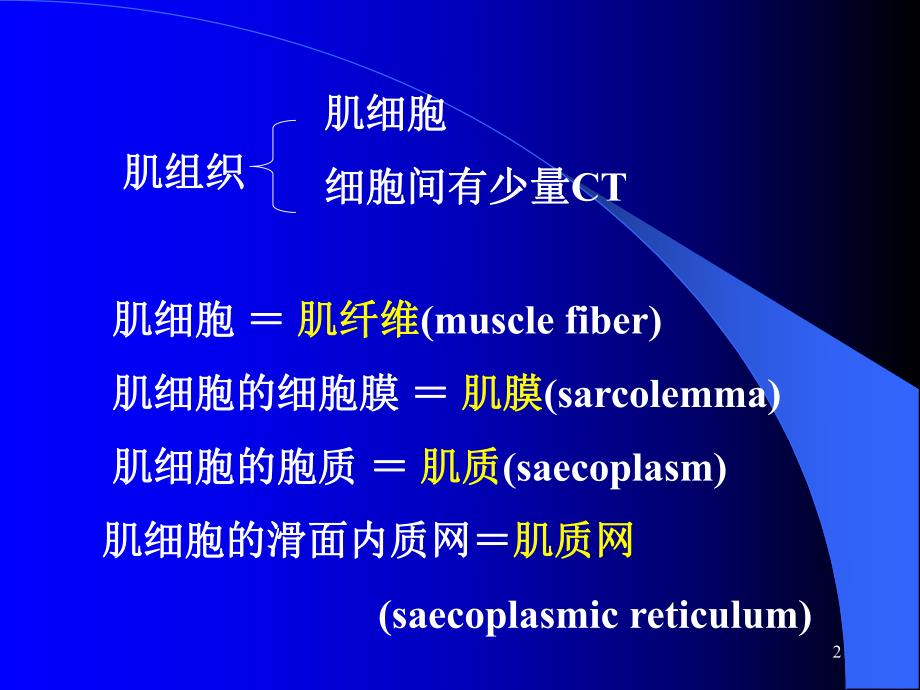 第6章肌组织课件.ppt_第2页