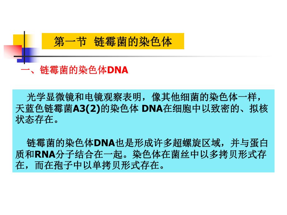 第七章放线菌遗传.ppt_第3页