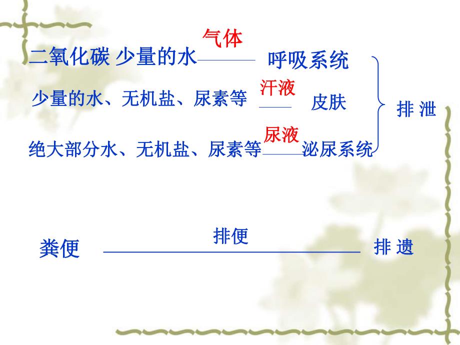 第一节尿的形成和排出名师编辑PPT课件.ppt_第3页