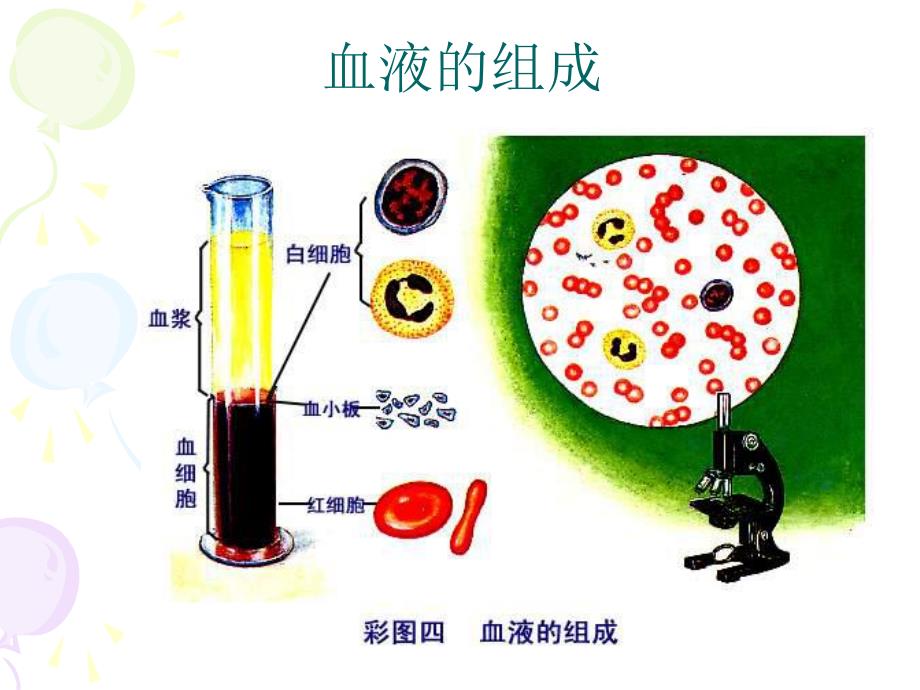 第一节流动的组织血液名师编辑PPT课件.ppt_第3页