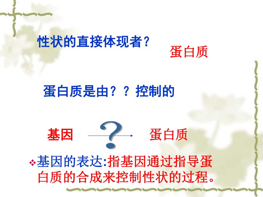 第一节基因指导蛋白质名师编辑PPT课件.ppt_第2页