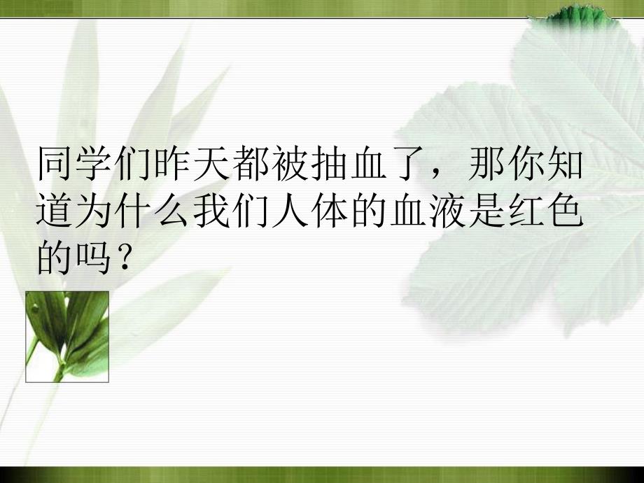 第一节植物细胞的结构和功能名师编辑PPT课件.ppt_第2页