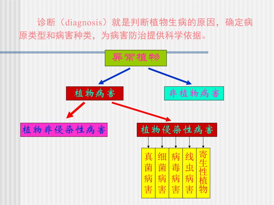 第一节植物病害的诊断名师编辑PPT课件.ppt_第3页