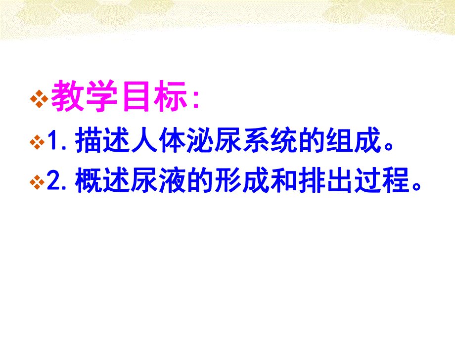 第一部分尿的形成与排出教学课件名师编辑PPT课件.ppt_第2页