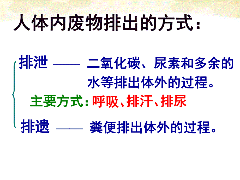 第一部分尿的形成与排出教学课件名师编辑PPT课件.ppt_第3页