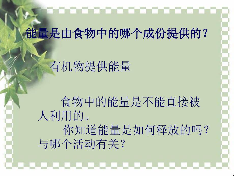 第6部分能量与呼吸名师编辑PPT课件.ppt_第3页