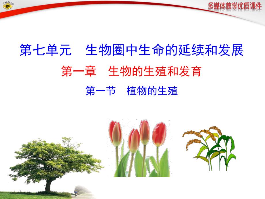 第一节植物的生殖.ppt_第1页