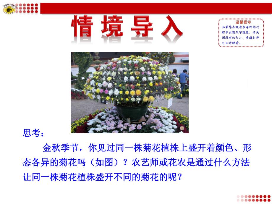 第一节植物的生殖.ppt_第2页